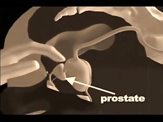 روزنامه نگار به طور تصادفی سوخته دانلود عکس هایxxx و فراموش نشدنی یولیا تیموشنکو در لعنتی در برزیل در تعطیلات